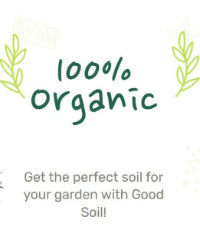 Organic Vegetable Seeds