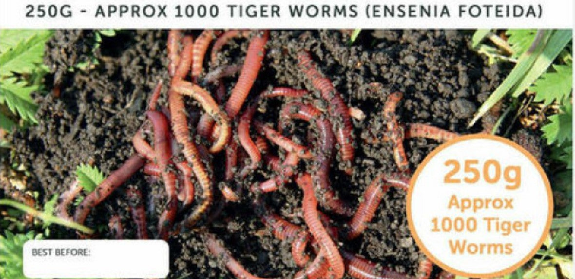 Worms & Worm Farms