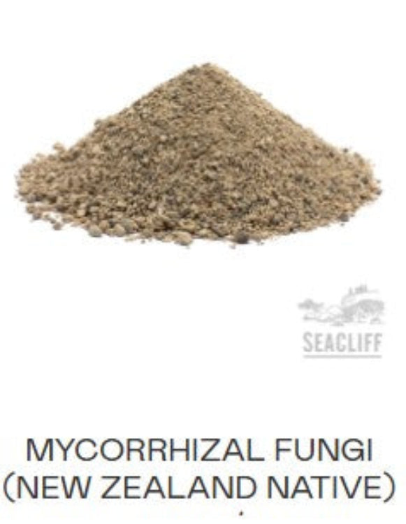 Mycorrhizal Fungi