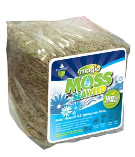 Magic Moss with Seaweed – Moist