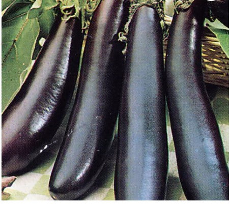 Eggplant Long Purple - seeds