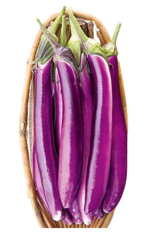 Eggplant Ping Tung Long